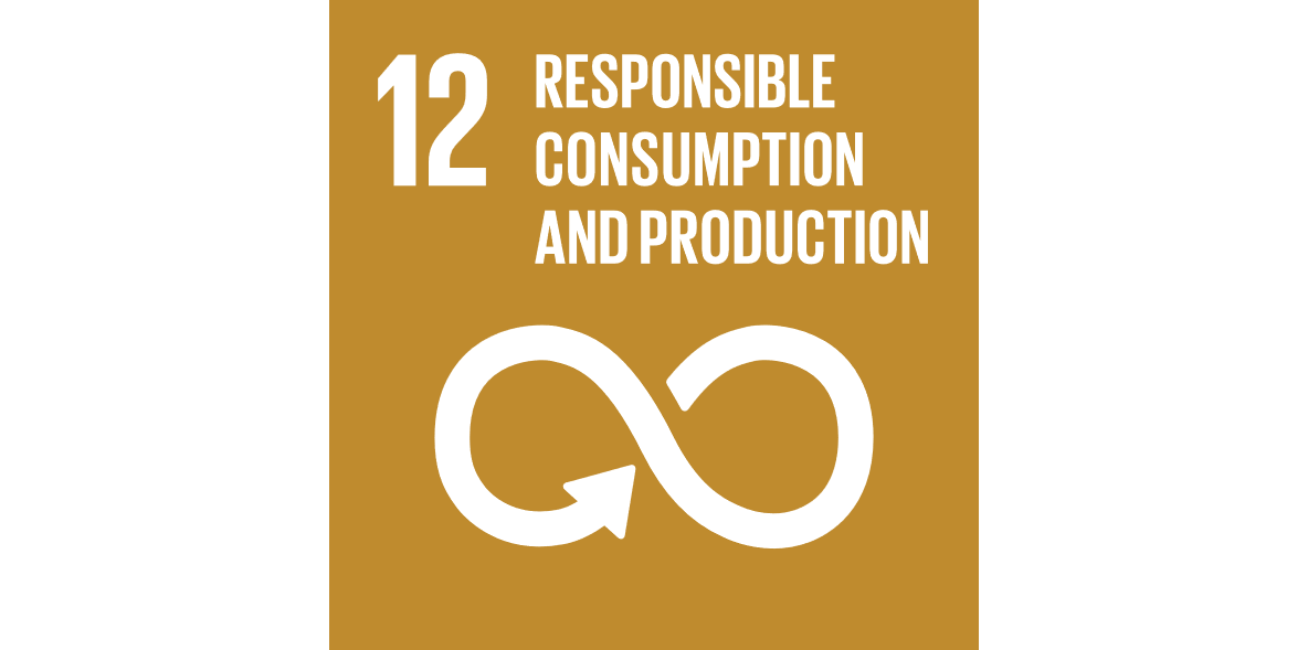 SDG 12 – Responsible Consumption And Production – Breakout Africa